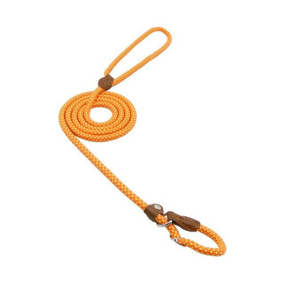 Nylon Collar & Leash Set for Dogs