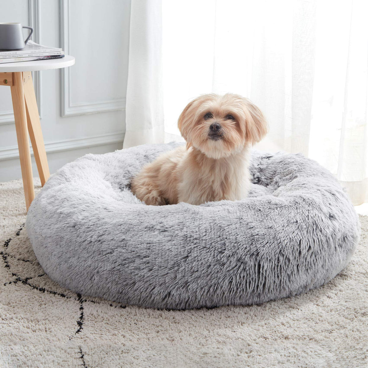 Calming Donut Bed for Anxious Dogs - homepage hero