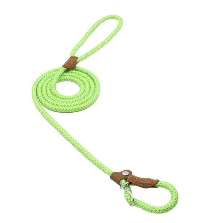 Nylon Collar & Leash Set for Dogs