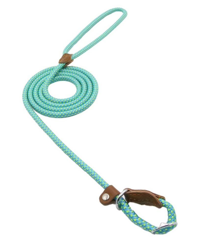 Nylon Collar & Leash Set for Dogs