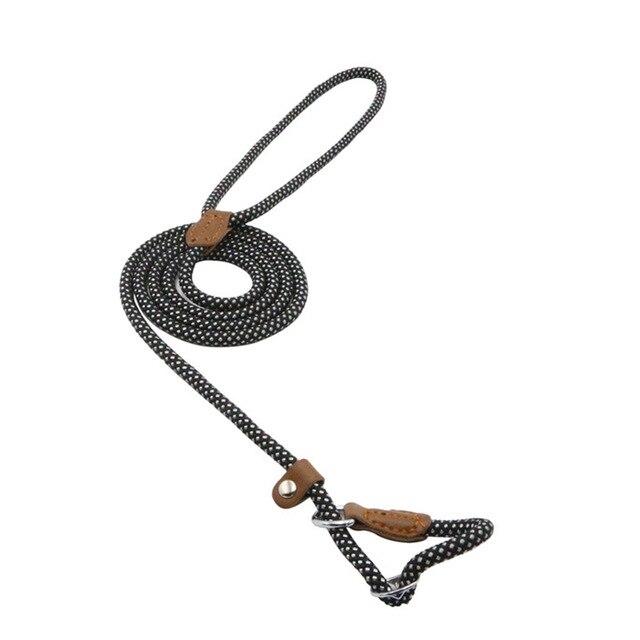 Nylon Collar & Leash Set for Dogs