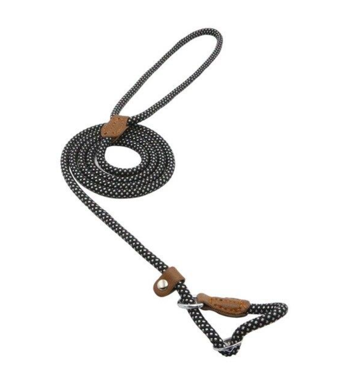 Nylon Collar & Leash Set for Dogs