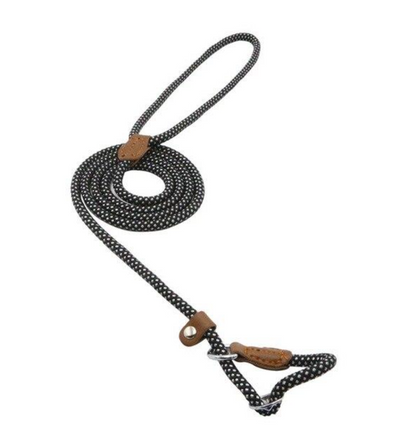 Nylon Collar & Leash Set for Dogs