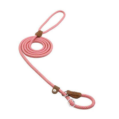 Nylon Collar & Leash Set for Dogs
