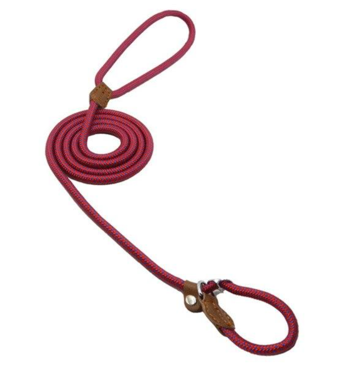Nylon Collar & Leash Set for Dogs