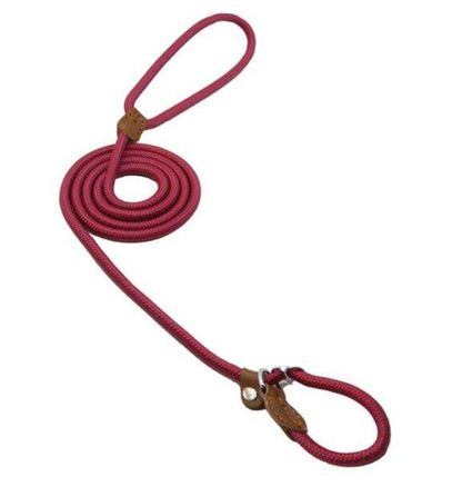 Nylon Collar & Leash Set for Dogs