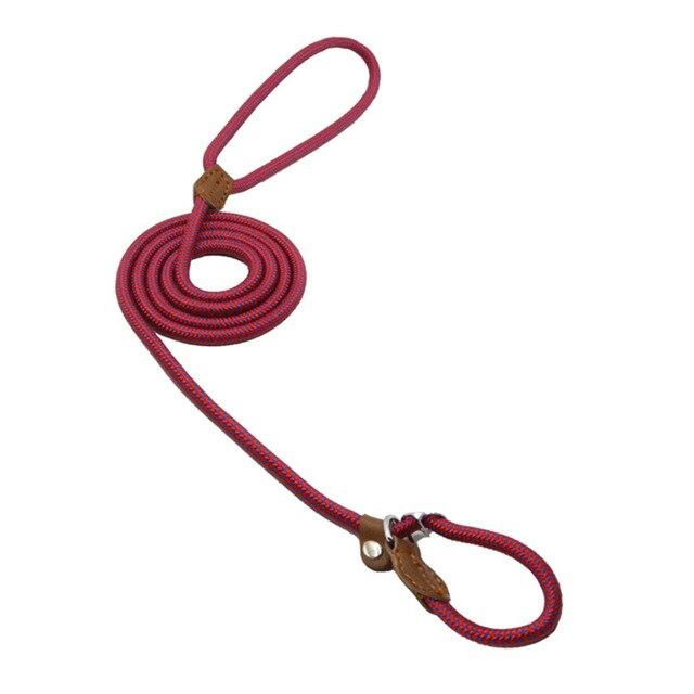 Nylon Collar & Leash Set for Dogs
