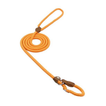 Nylon Collar & Leash Set for Dogs