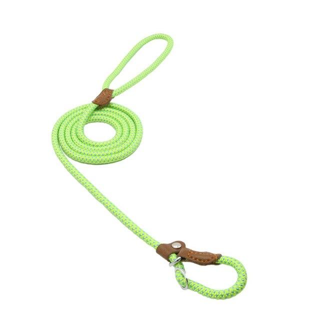 Nylon Collar & Leash Set for Dogs