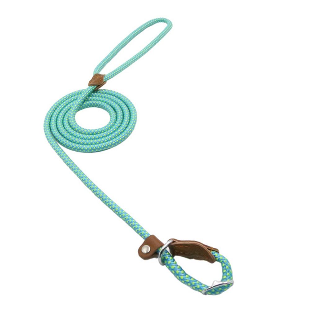 Nylon Collar & Leash Set for Dogs