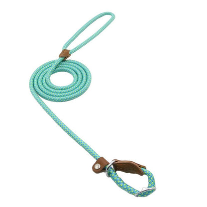 Nylon Collar & Leash Set for Dogs