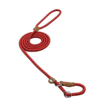 Nylon Collar & Leash Set for Dogs